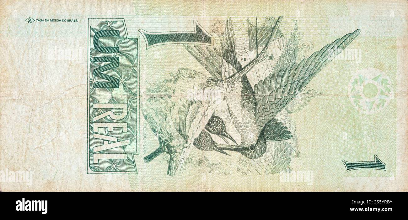 Beija flor colibri ou colibri représenté sur un vieux billet argent brésilien. Bec vert verso. Beija flor colibri ou colibri représenté sur Banque D'Images