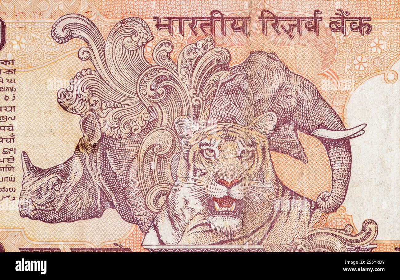 Éléphant rhinocéros et tigre représentés sur un billet de banque indien de dix roupies. 10 Roupie monnaie nationale de l'Inde INR. Gros plan sur la facture Orange Money. Éléphant Banque D'Images