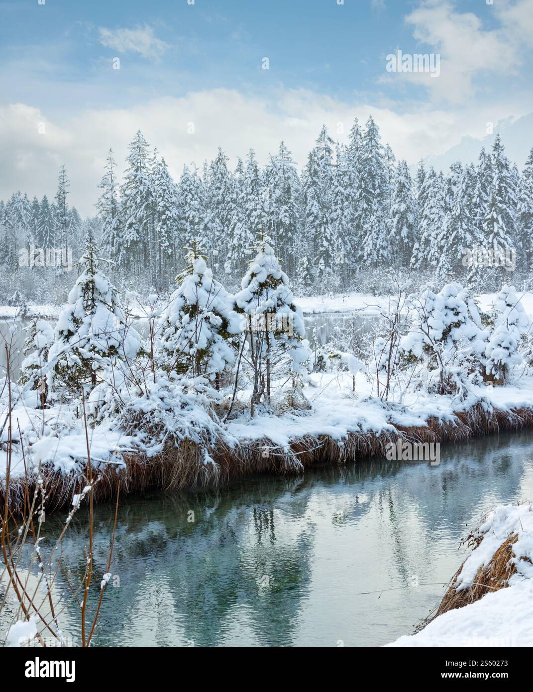 Petit cours d'hiver avec snowy trees sur banque. Banque D'Images