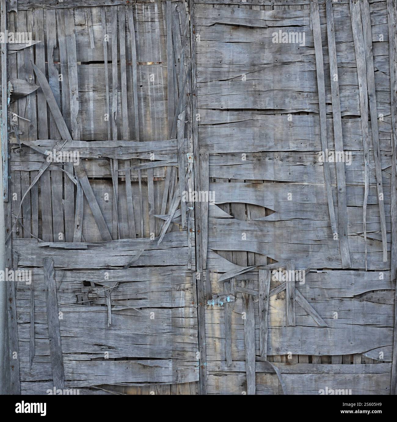 La texture du mur en bois patiné gris cassé. De planche en bois de clôture en bois fissuré feuilles. Banque D'Images