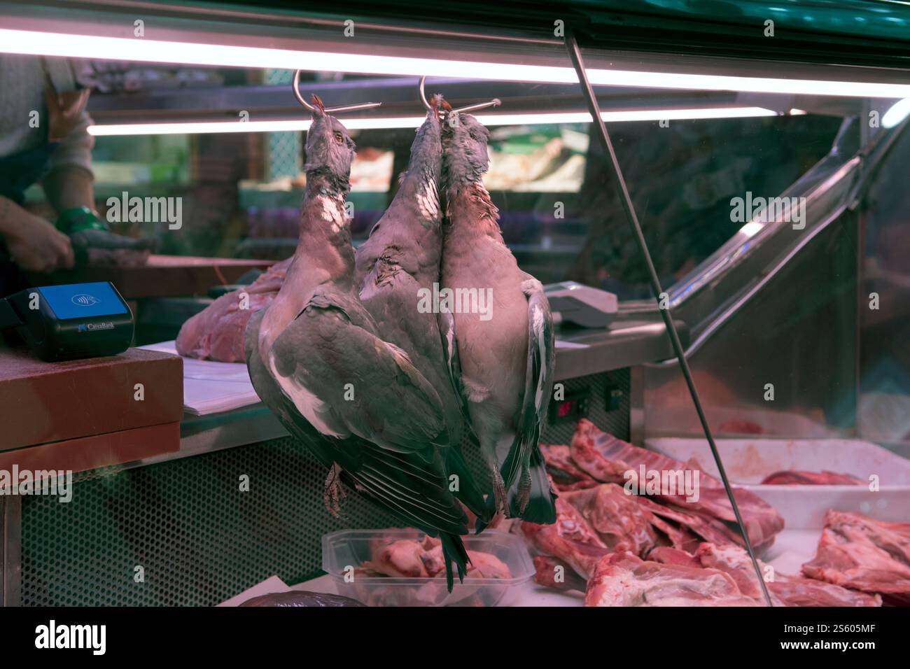 Squab pigeons accrochés dans une boucherie prête à acheter au Mercado de Triana, marché local Triana Séville, Espagne, Europe. Années 2020 2025 HOMER SYKES Banque D'Images