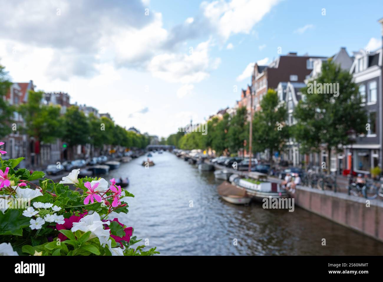 Un canal pittoresque à Amsterdam, avec des fleurs vibrantes au premier plan et des bâtiments historiques bordant la voie navigable Banque D'Images