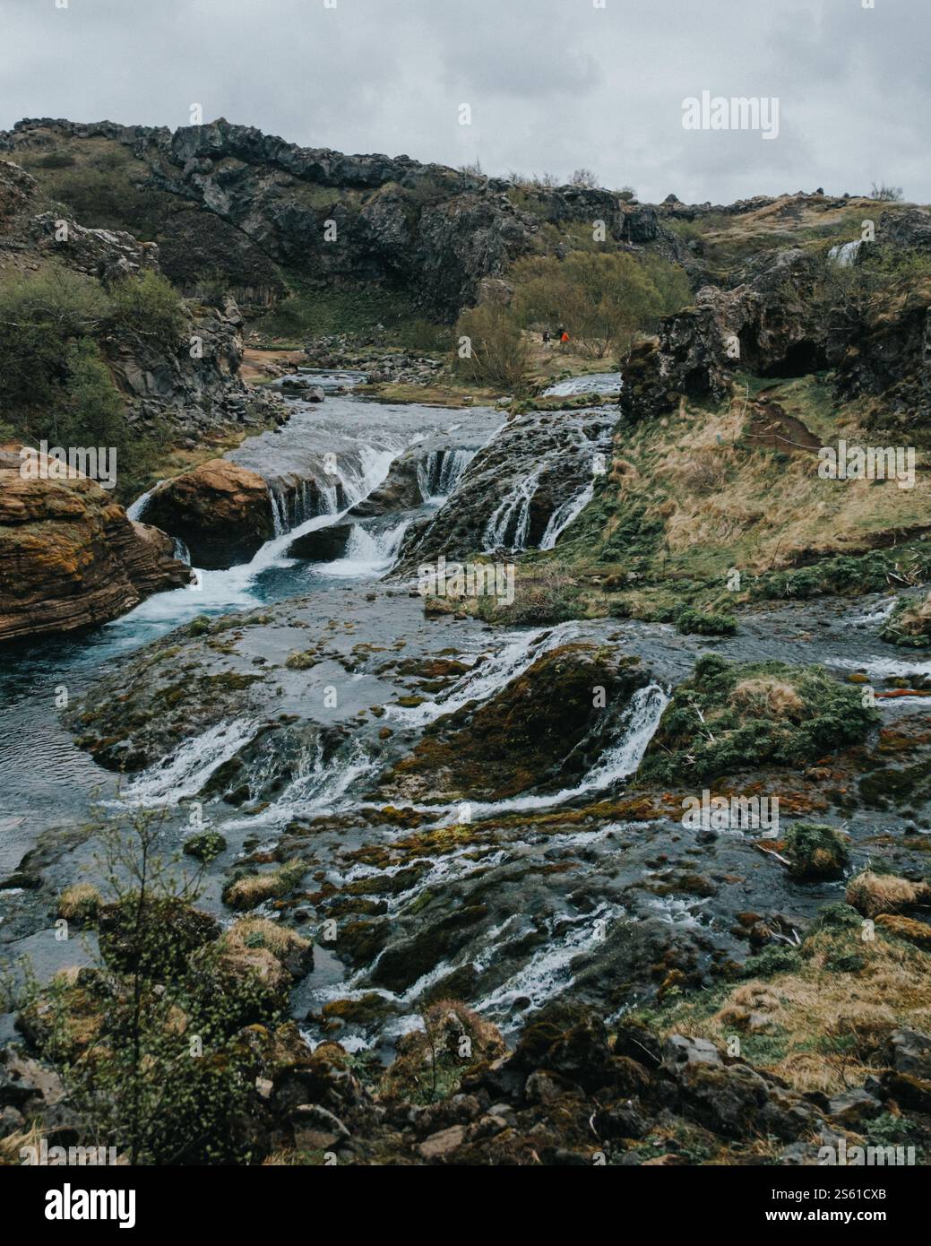 Cascades tranquilles et verdure luxuriante à Gjáin, dans le sud de l'Islande. Banque D'Images