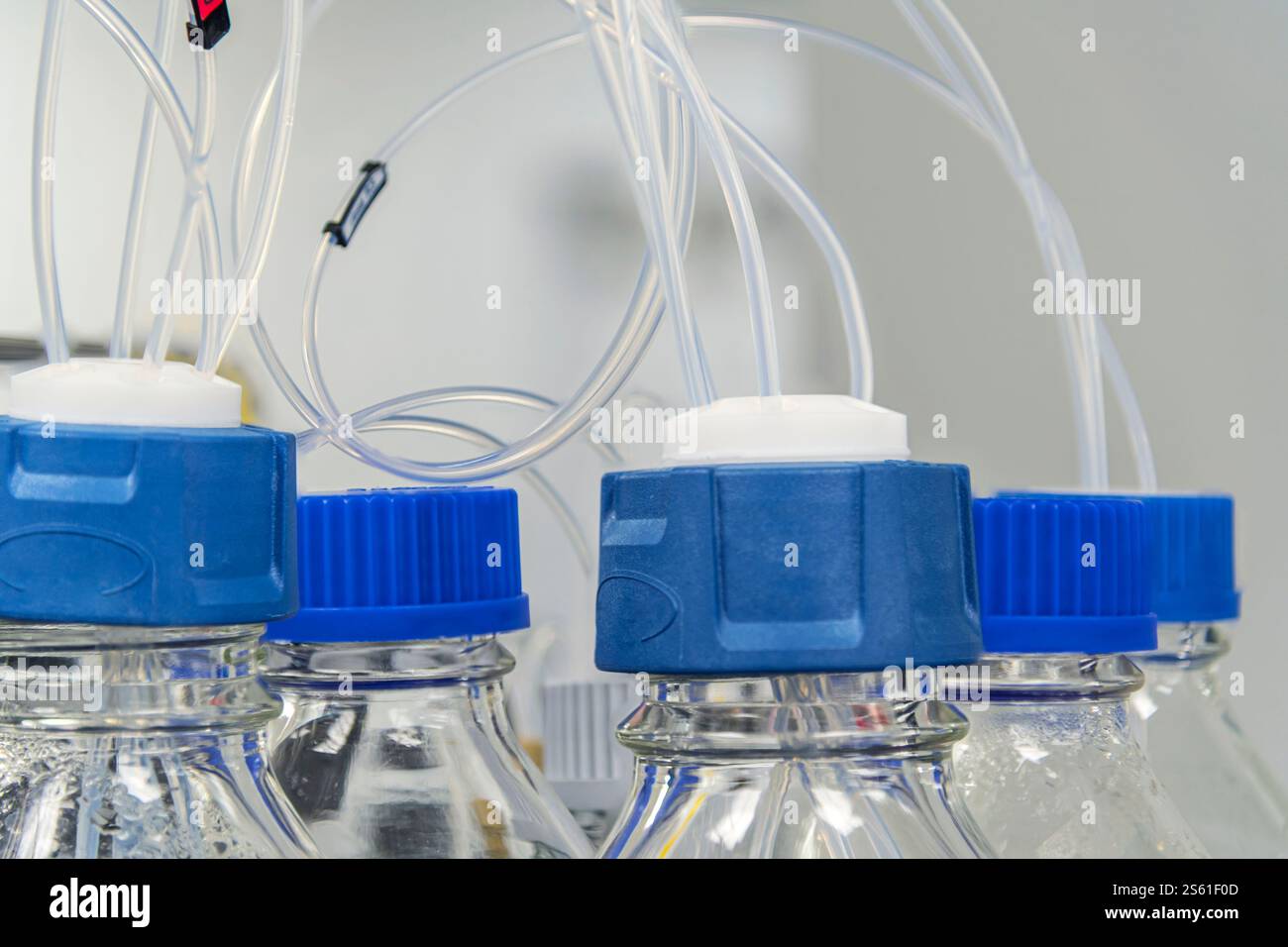 Bouteilles avec tubes dans le laboratoire de recherche scientifique, New Jersey USA Banque D'Images Bouteilles avec tubes dans le laboratoire de recherche scientifique, New Jersey USA Banque D'Images