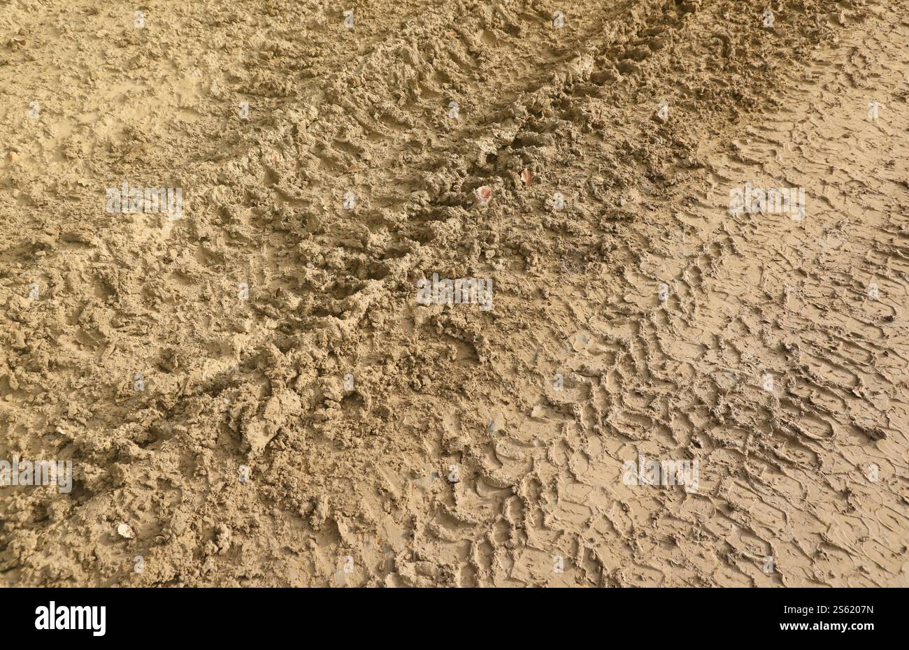 Voie de roue sur boue. Traces d'un tracteur ou d'une lourde voiture hors route sur boue brune dans un pré humide. Voie de roue sur boue. Traces d'un tracteur ou d'un véhicule tout-terrain lourd Banque D'Images