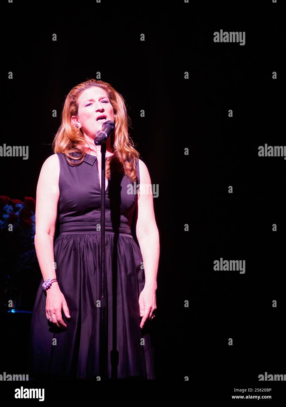 New Orleans, LOUISIANE, États-Unis - 28 mars 2015 : Ana Gasteyer, ancienne élève de SNL, se produit au New Orleans Center for Creative Arts (NOCCA) Benefit Banque D'Images