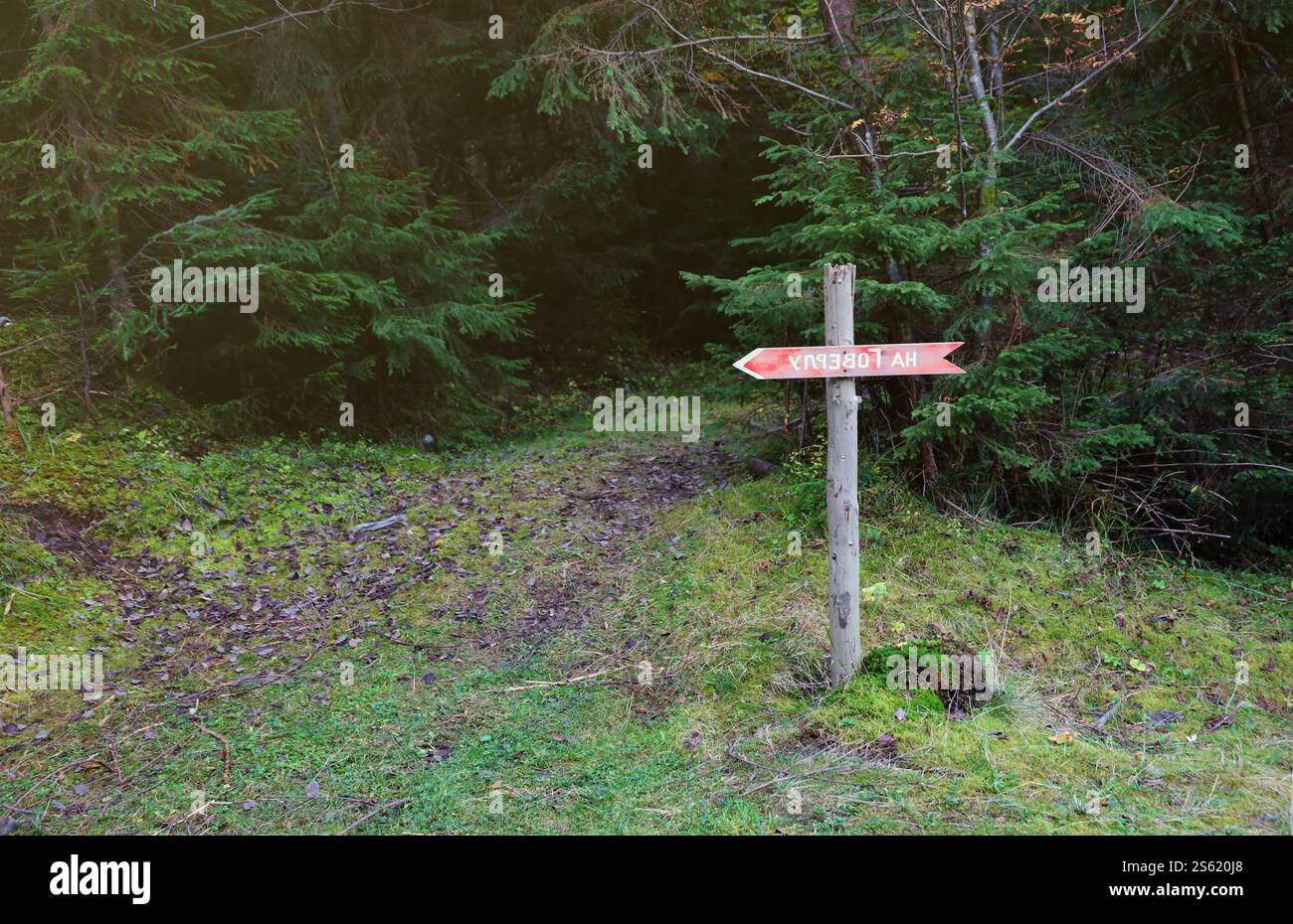 Signe fléché vers le mont Hoverla direction accrochant le pic des Carpates ukrainiennes. Signe fléché vers le mont Hoverla direction accrochant le pic de l'ukrainien Banque D'Images