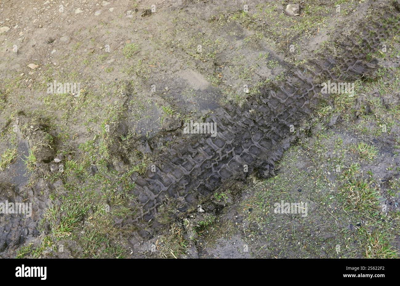 Voie de roue sur boue. Traces d'un tracteur ou d'une lourde voiture hors route sur boue brune dans un pré humide. Voie de roue sur boue. Traces d'un tracteur ou d'un véhicule tout-terrain lourd Banque D'Images