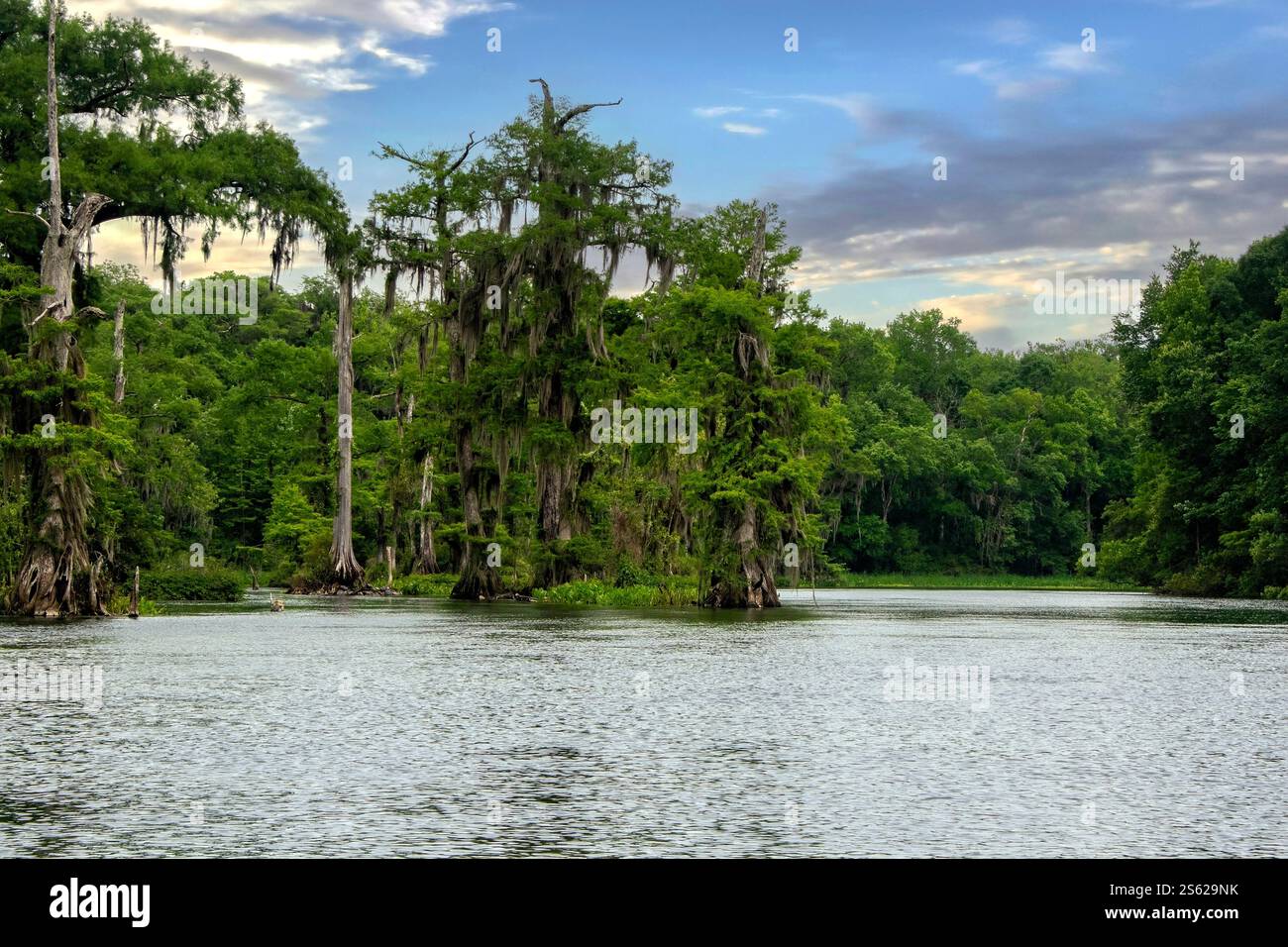 Le parc d’État de Wakulla Springs, la source d’eau douce la plus grande et la plus profonde au monde, près de Tallahassee, en Floride Banque D'Images