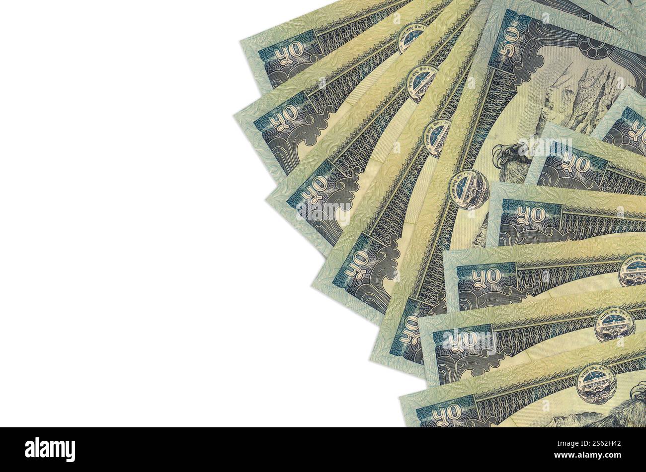 50 billets de roupies népalaises se trouve isolé sur fond blanc avec espace de copie. Fond conceptuel de la vie riche. Grande quantité de richesse en monnaie nationale. Banque D'Images