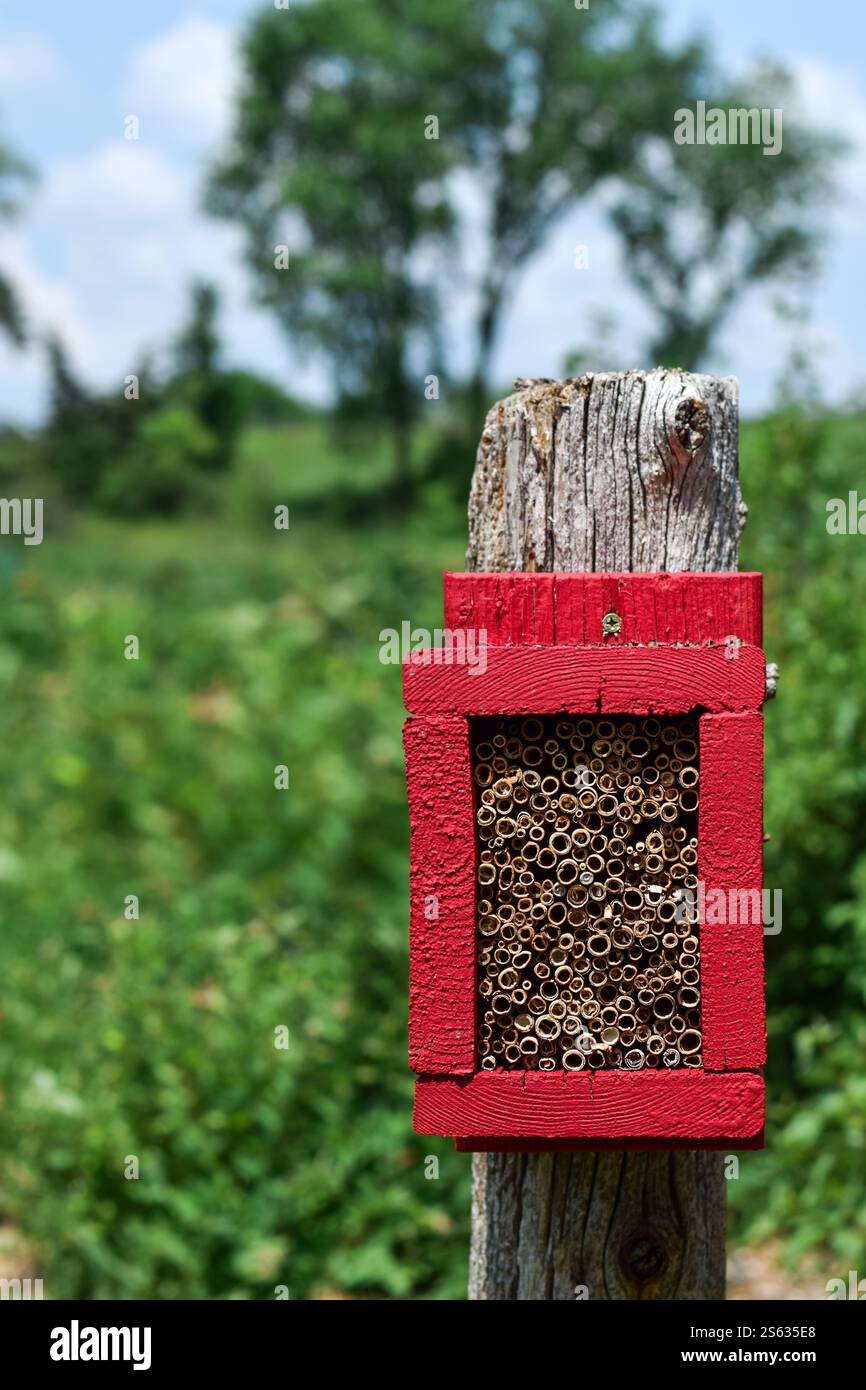 Hôtel à insectes rouges sur un poteau en bois dans un jardin Banque D'Images