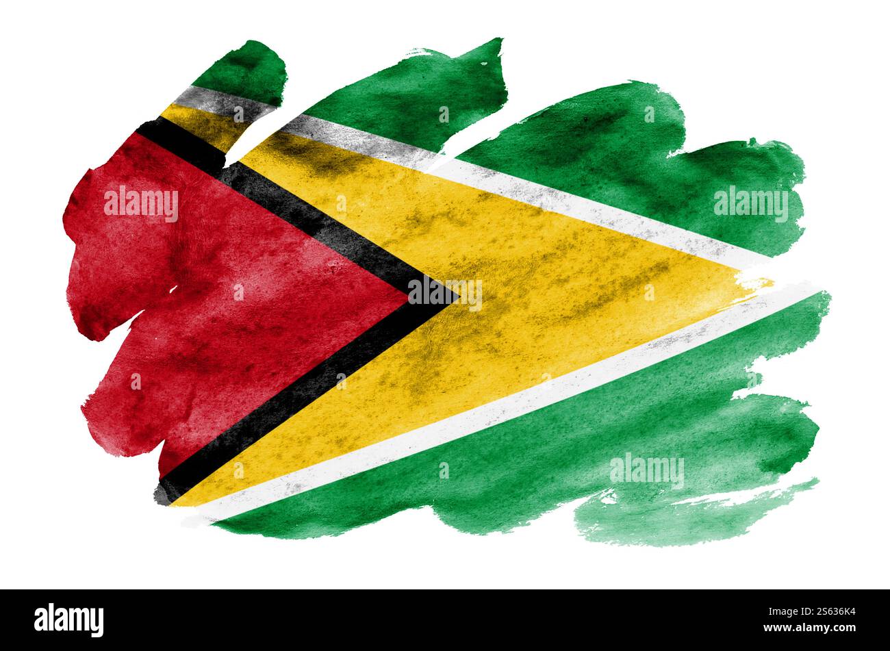 Le drapeau de Guyana est représenté dans un style aquarelle liquide isolé sur fond blanc. Ombrage de peinture négligent avec l'image du drapeau national. Jour de l'indépendance Banque D'Images