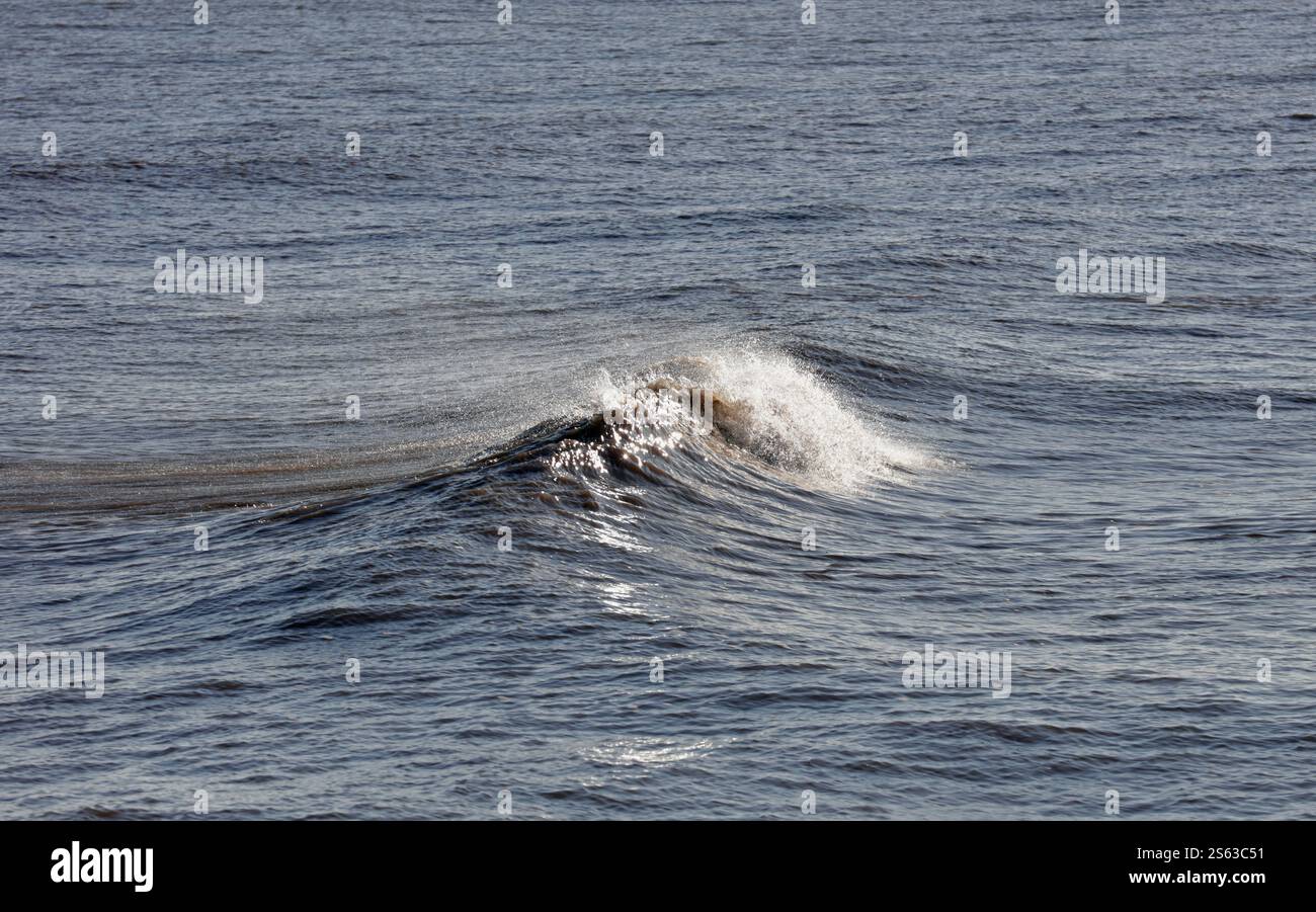 Surf éclairé par le soleil, crête de vague solitaire Banque D'Images