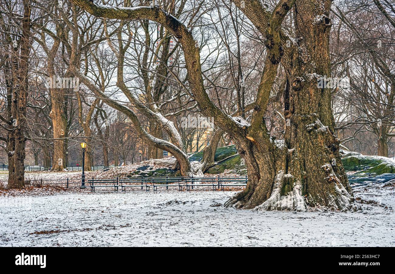 Central Park en hiver lors d'une tempête de neige légère Banque D'Images