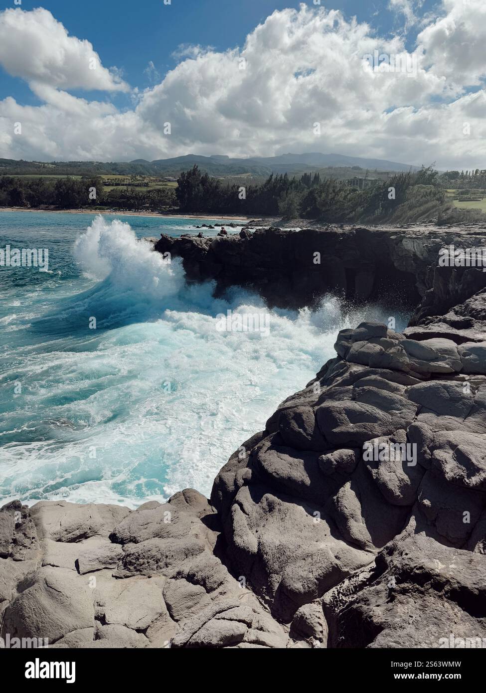 La beauté d'Hawaï Banque D'Images