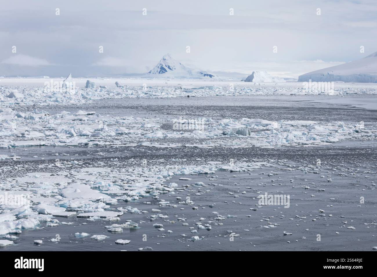 Grands icebergs en Antarctique Banque D'Images