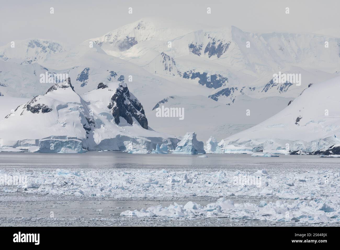 Grands icebergs en Antarctique Banque D'Images