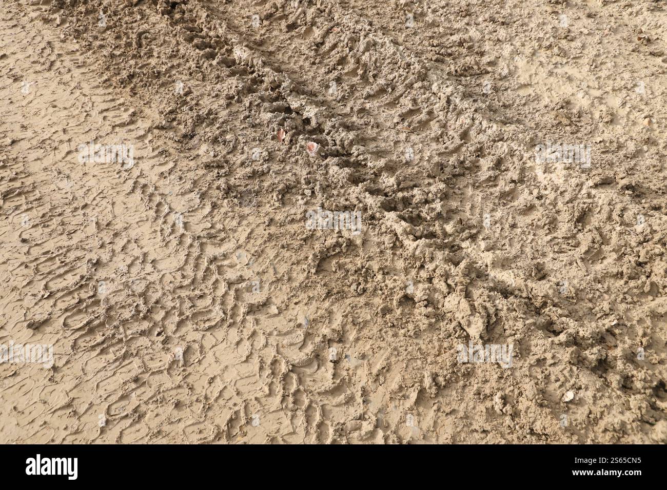 Voie de roue sur boue. Traces d'un tracteur ou d'une lourde voiture hors route sur boue brune dans un pré humide. Voie de roue sur boue. Traces d'un tracteur ou d'un véhicule tout-terrain lourd Banque D'Images
