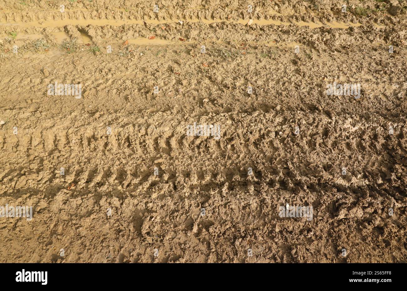Voie de roue sur boue. Traces d'un tracteur ou d'une lourde voiture hors route sur boue brune dans un pré humide. Voie de roue sur boue. Traces d'un tracteur ou d'un véhicule tout-terrain lourd Banque D'Images