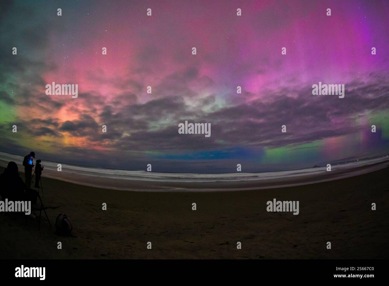 Aurora dans Dunedin, 2024 Banque D'Images