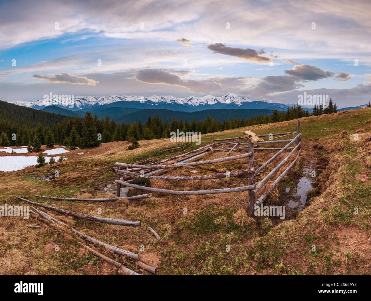 Carpates printemps paysage avec des sommets couverts de neige des Chornohora ridge de loin, de l'Ukraine. Zone agricole clôturé avec de l'eau printemps et buveur. Banque D'Images
