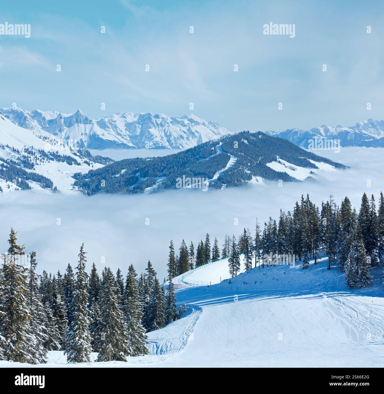 Paysage de montagne Hiver Matin de nuages dans la vallée ci-dessous (Hochkoenig région, Autriche) Banque D'Images