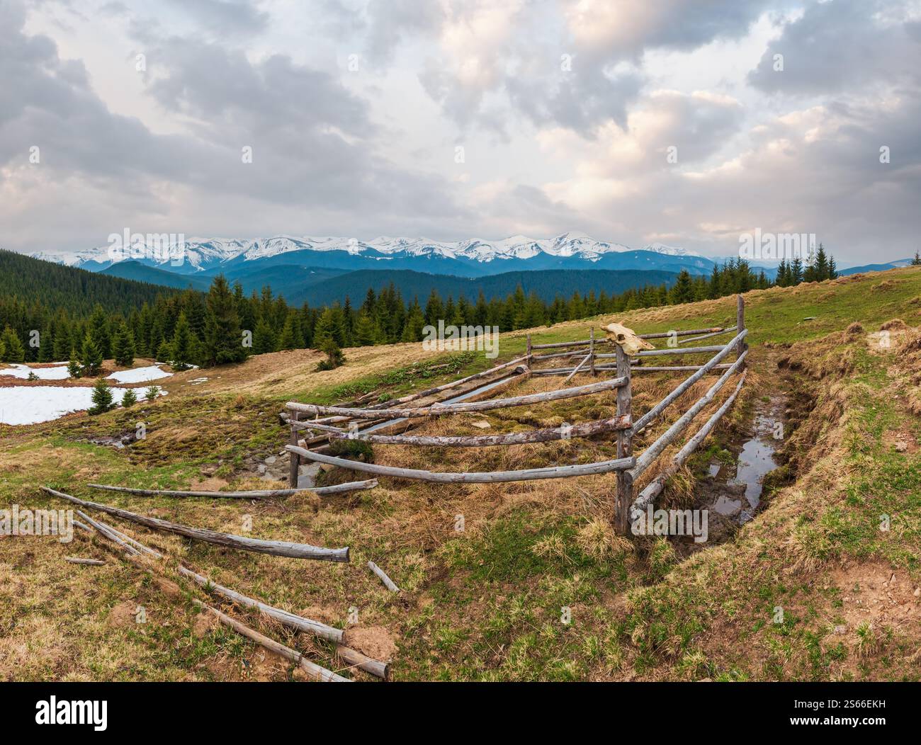 Carpates printemps paysage avec des sommets couverts de neige des Chornohora ridge de loin, de l'Ukraine. Zone agricole clôturé avec de l'eau printemps et buveur. Banque D'Images