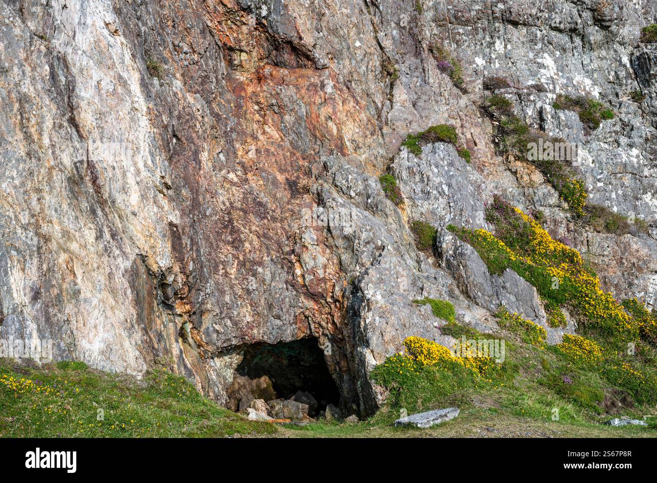 Petit adit, probablement exploratoire, dans les veines minéralisées de quartz dans les grès dévoniens près d'Allihies, péninsule de Beara, West Cork, péninsule de Beara Banque D'Images