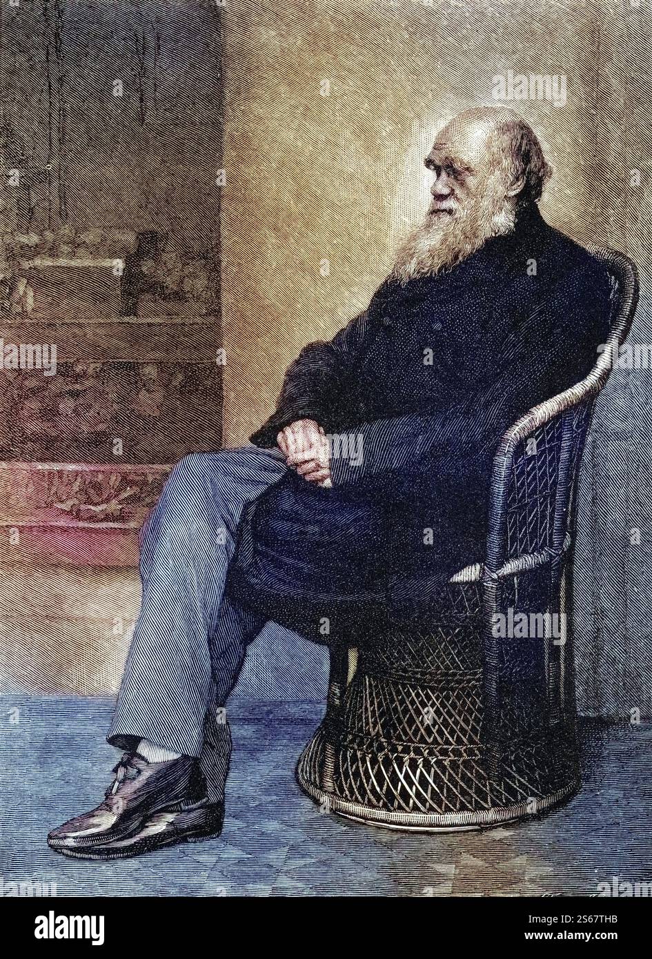 Charles Darwin, 1809-1882. Britischer Naturforscher. Nach einer Fotografie (1874?) Von Captain L. Darwin, Historisch, digital restaurierte Reproduktion von einer Vorlage aus dem 19. Jahrhundert, date du dossier non précisée Banque D'Images
