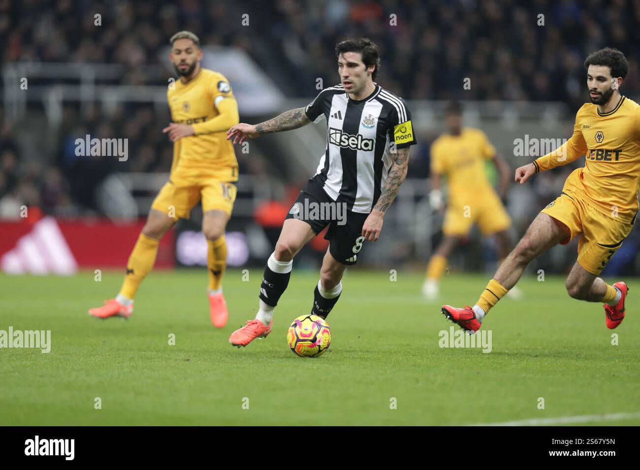 Sandro TONALi of Newcastle United - Newcastle United v Wolverhampton Wanderers, premier League, St James' Park, Newcastle upon Tyne, Royaume-Uni - 15 janvier 2025 usage éditorial exclusif - des restrictions de DataCo s'appliquent Banque D'Images