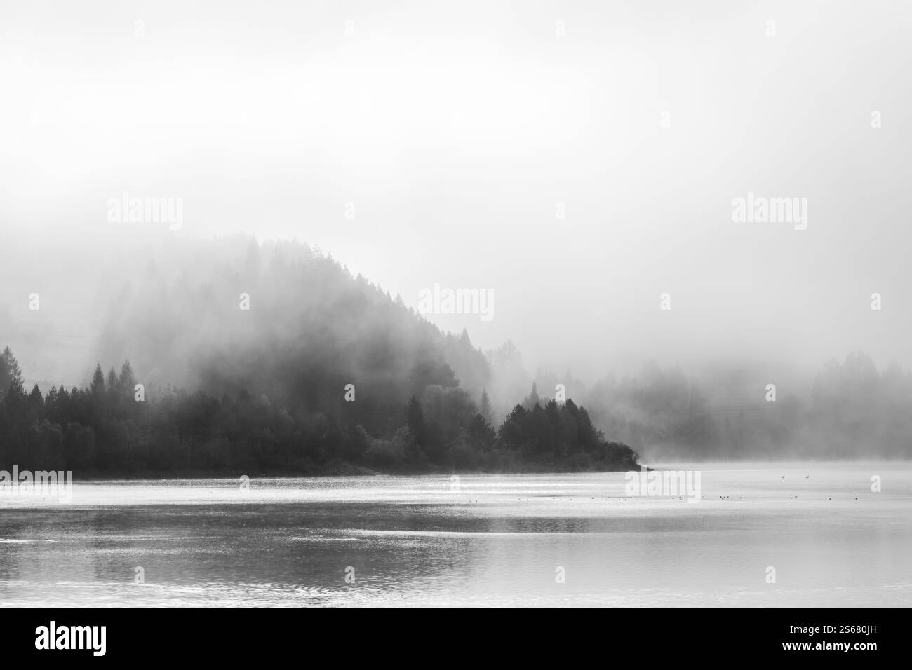 Serein Foggy Lake avec des oiseaux dans un paysage minimaliste noir et blanc Banque D'Images