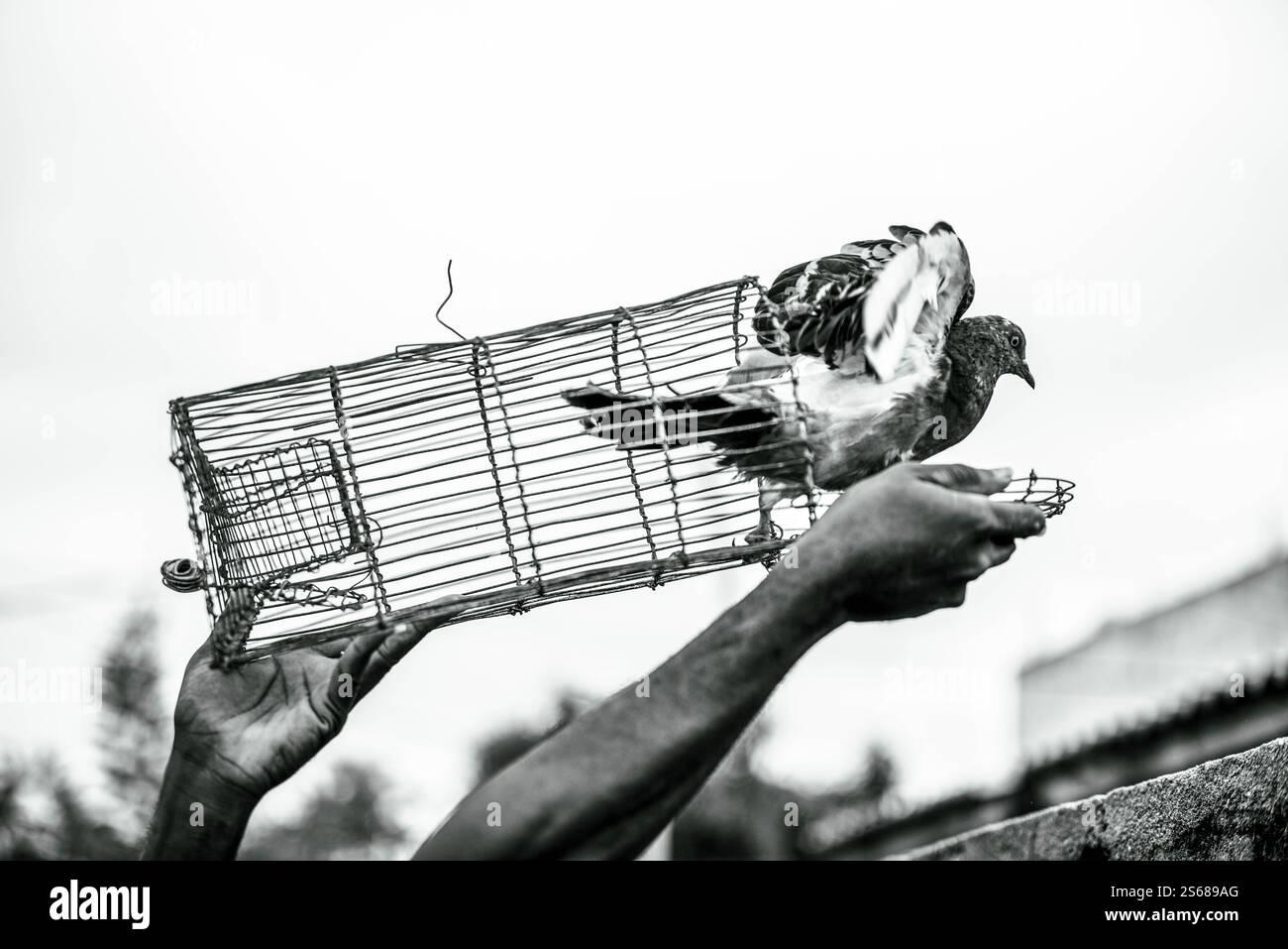 Images conceptuelle : LIBERTÉ Banque D'Images