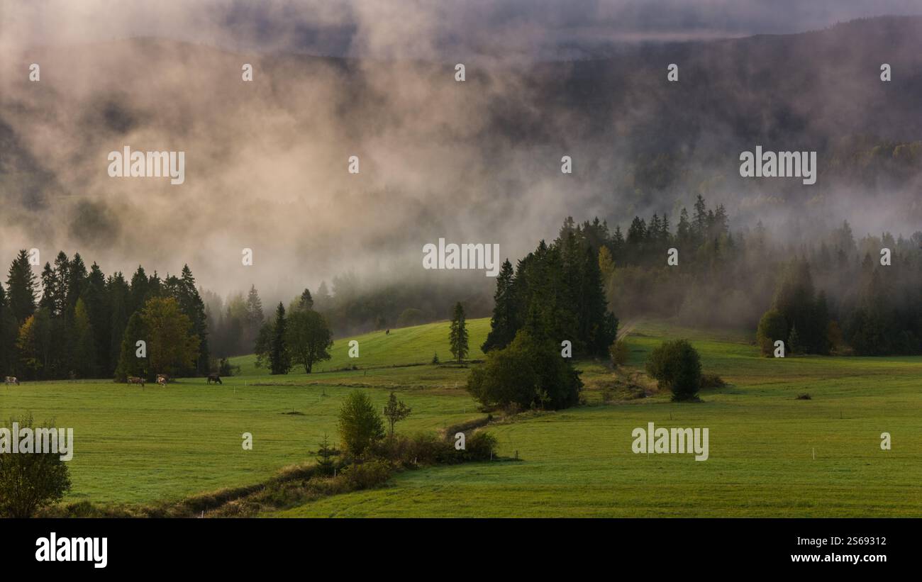 Valeur par défaut Banque D'Images