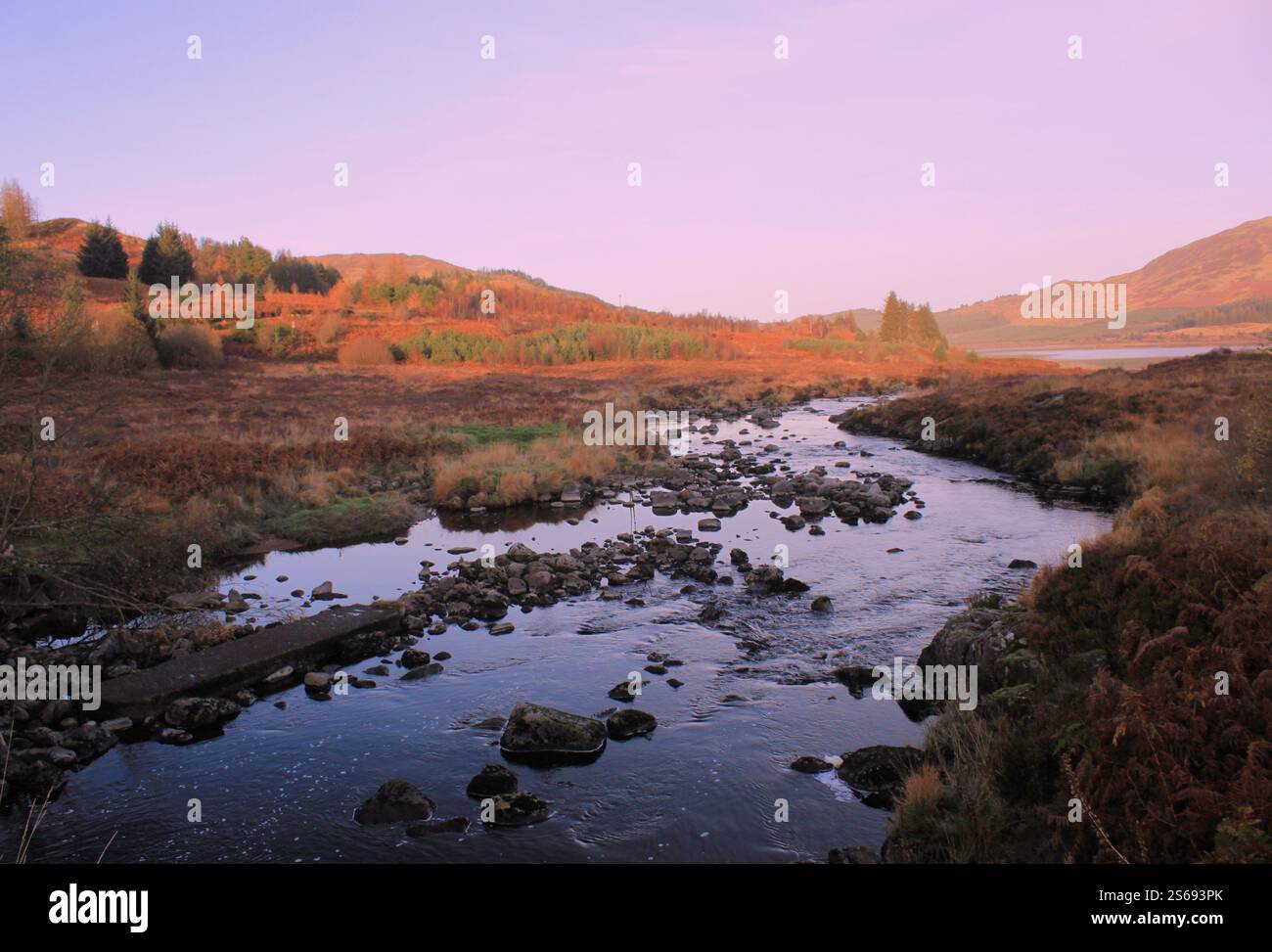 Galloway Forest Park - Écosse Banque D'Images