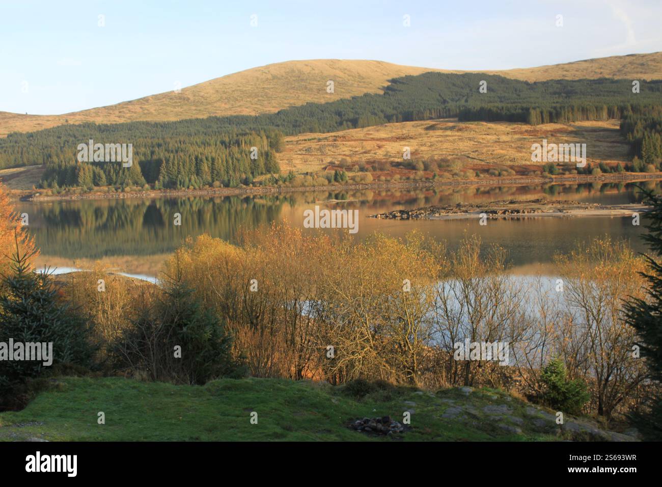 Galloway Forest Park - Écosse Banque D'Images