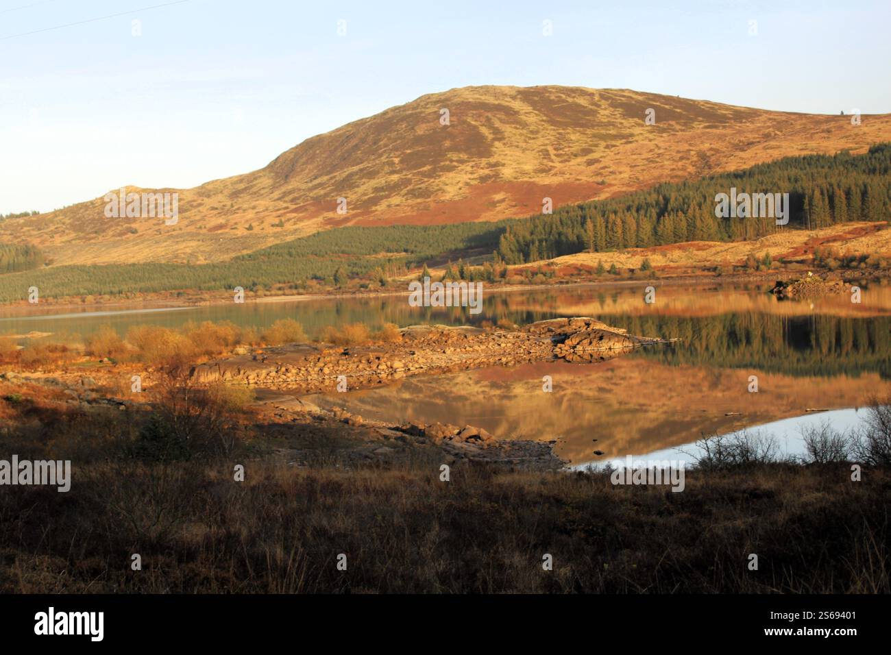 Galloway Forest Park - Écosse Banque D'Images