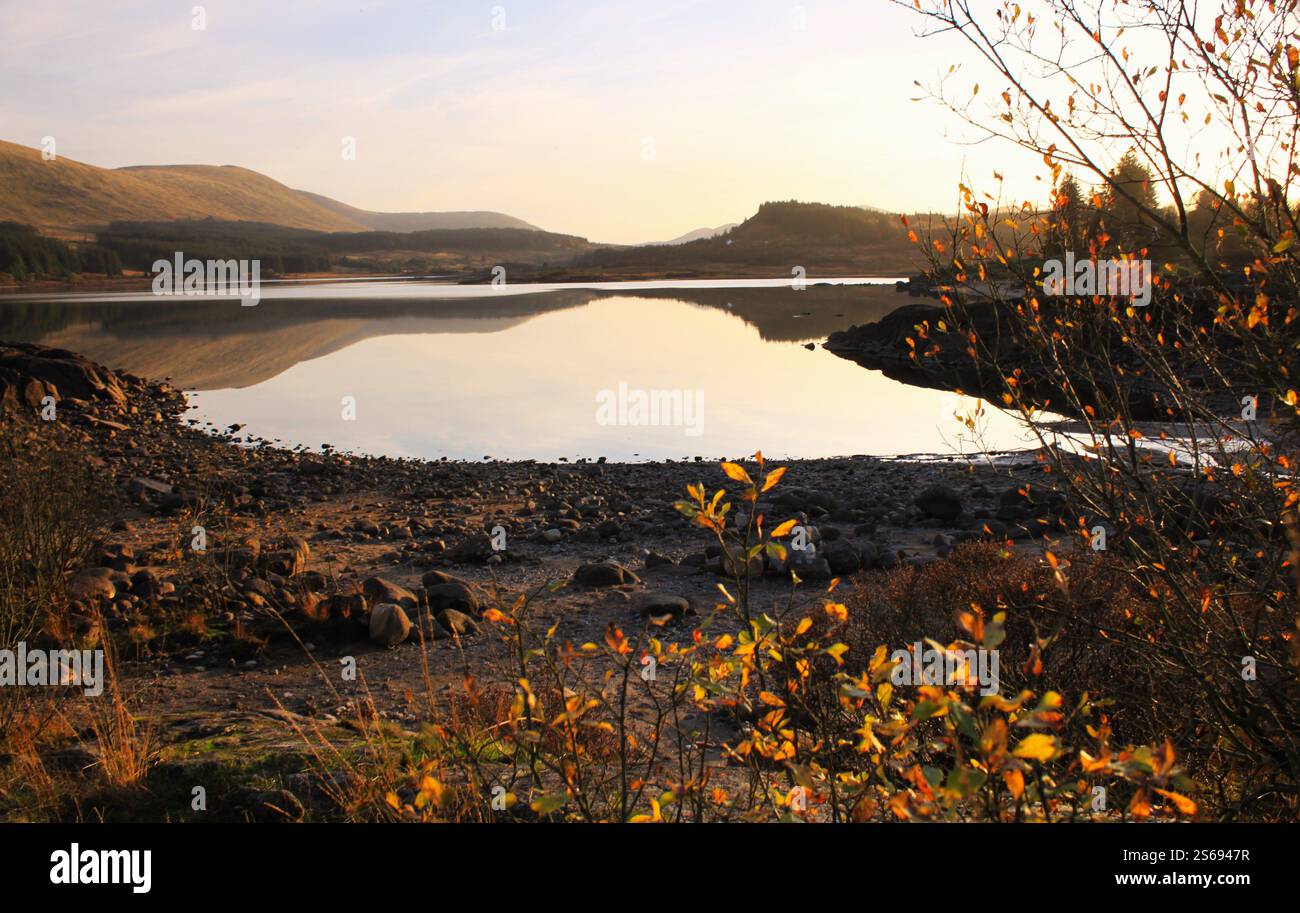 Galloway Forest Park - Écosse Banque D'Images
