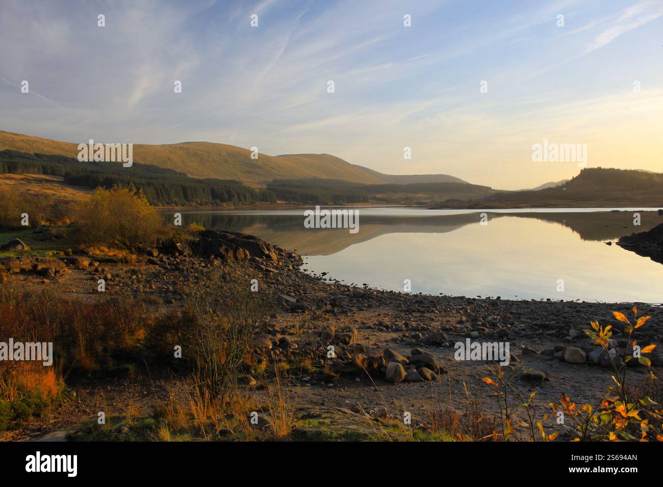 Galloway Forest Park - Écosse Banque D'Images