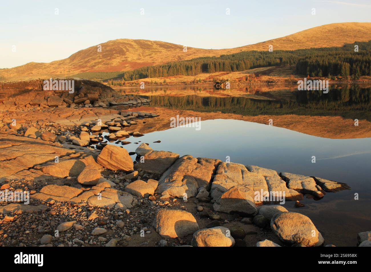 Galloway Forest Park - Écosse Banque D'Images