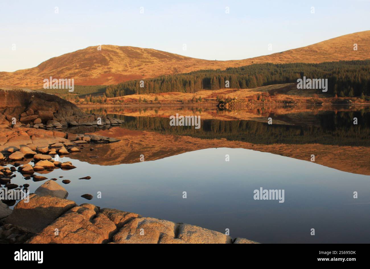 Galloway Forest Park - Écosse Banque D'Images
