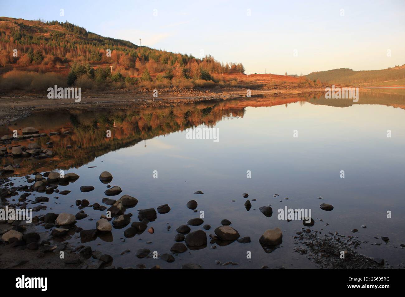 Galloway Forest Park - Écosse Banque D'Images