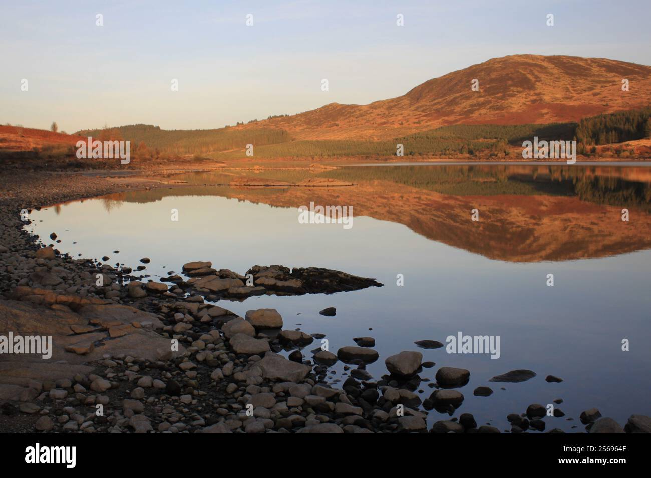 Galloway Forest Park - Écosse Banque D'Images