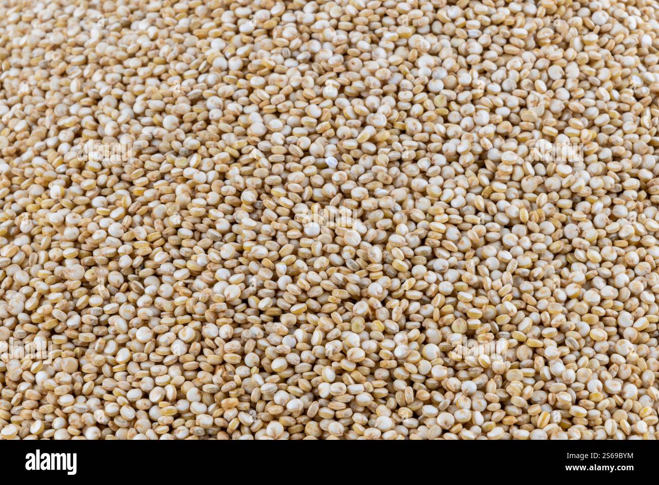Graines de quinoa blanc, gros plan. Chenopodium quinoa. Contexte alimentaire. Graines comestibles, riches en protéines, fibres alimentaires, vitamines B et minéraux. Banque D'Images