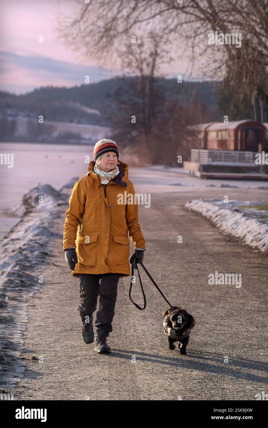 Femme marchant avec son chien un matin d'hiver froid Banque D'Images