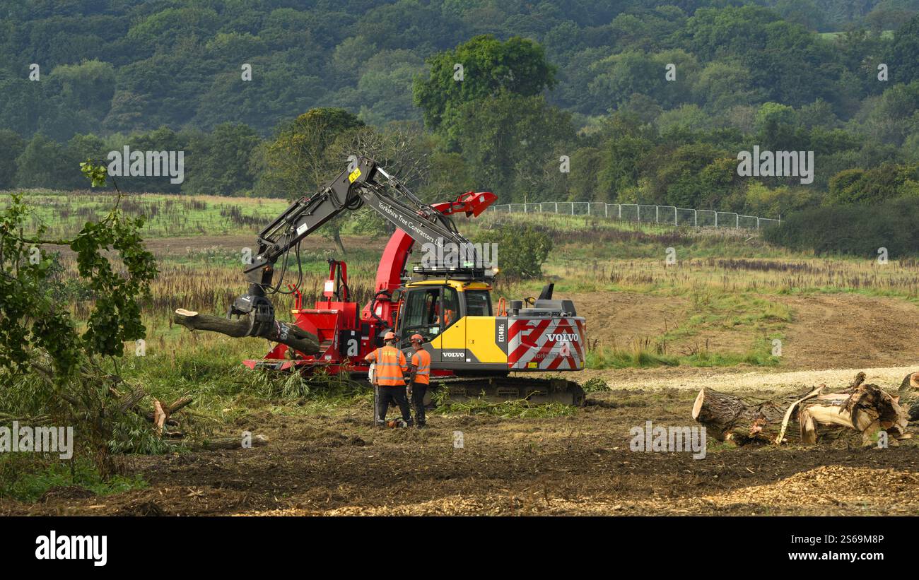 Hommes travaillant pour enlever des arbres (chantier de construction, perte et dommages de terres de champs verts, zone rurale pittoresque) - Burley-in-Wharfedale, West Yorkshire, Angleterre Royaume-Uni. Banque D'Images