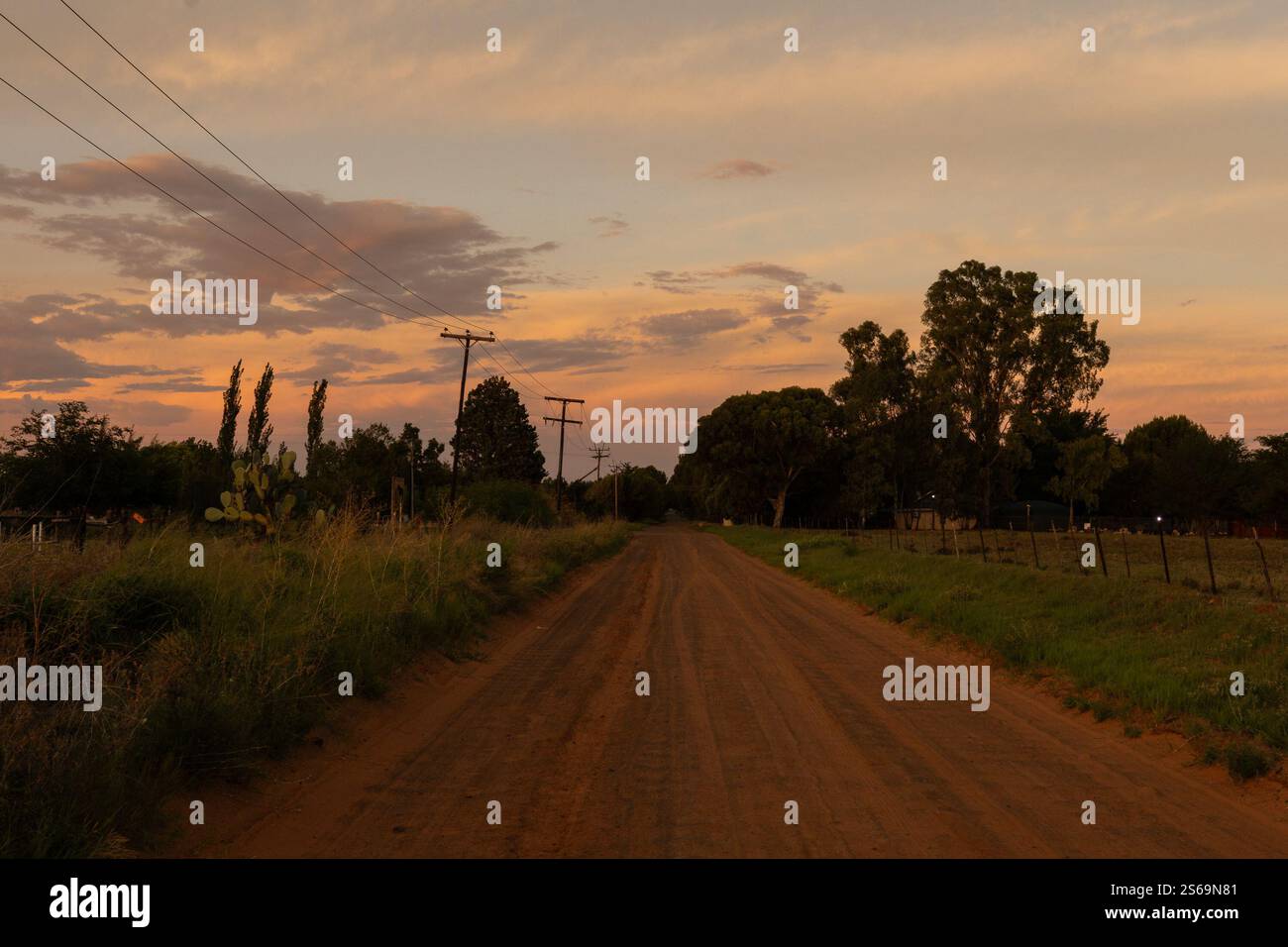 route de ferme contre scène de coucher de soleil avec gras vert et arbres Banque D'Images