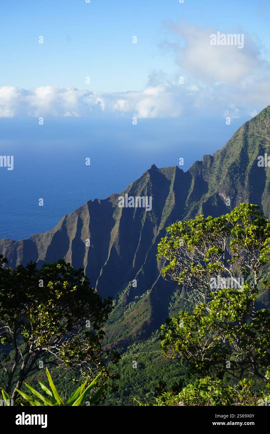 Vue imprenable sur la côte Na Pali à Kauai, Hawaï, avec des falaises spectaculaires, une végétation luxuriante et le vaste océan Pacifique sous un ciel bleu clair Banque D'Images