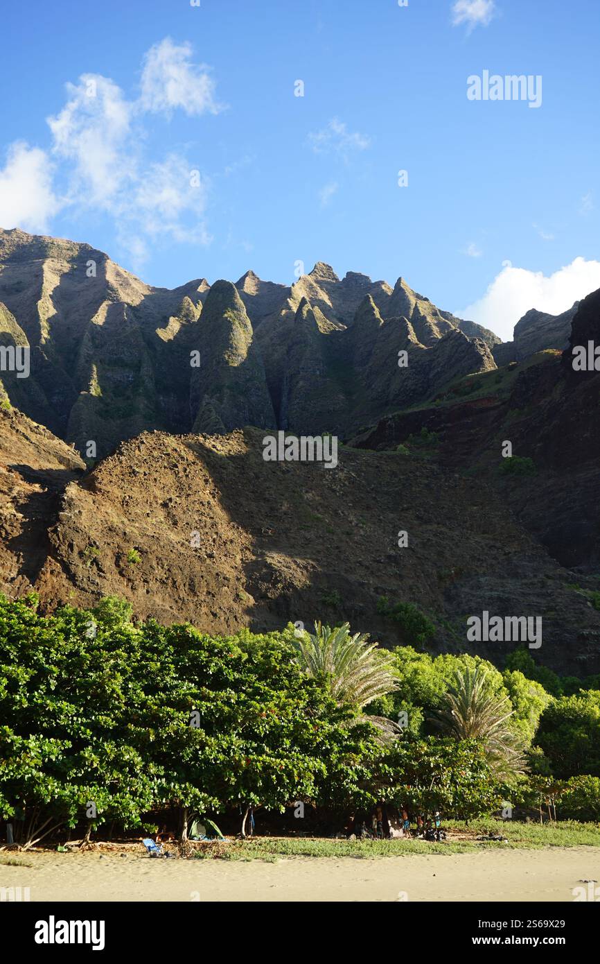 Vue panoramique sur les falaises et la végétation luxuriante sur le Kalalau Trail, Kauai, Hawaï, mettant en valeur la beauté spectaculaire de la côte Na Pali. Banque D'Images