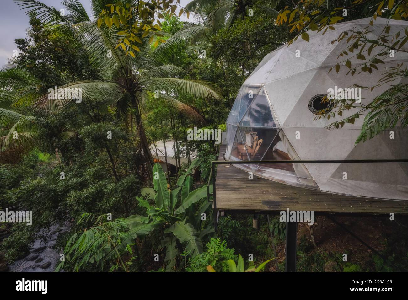 Découvrez la beauté époustouflante d'un dôme géodésique époustouflant, entouré d'un paysage tropical vibrant qui offre une nature immersive et apaisante Banque D'Images