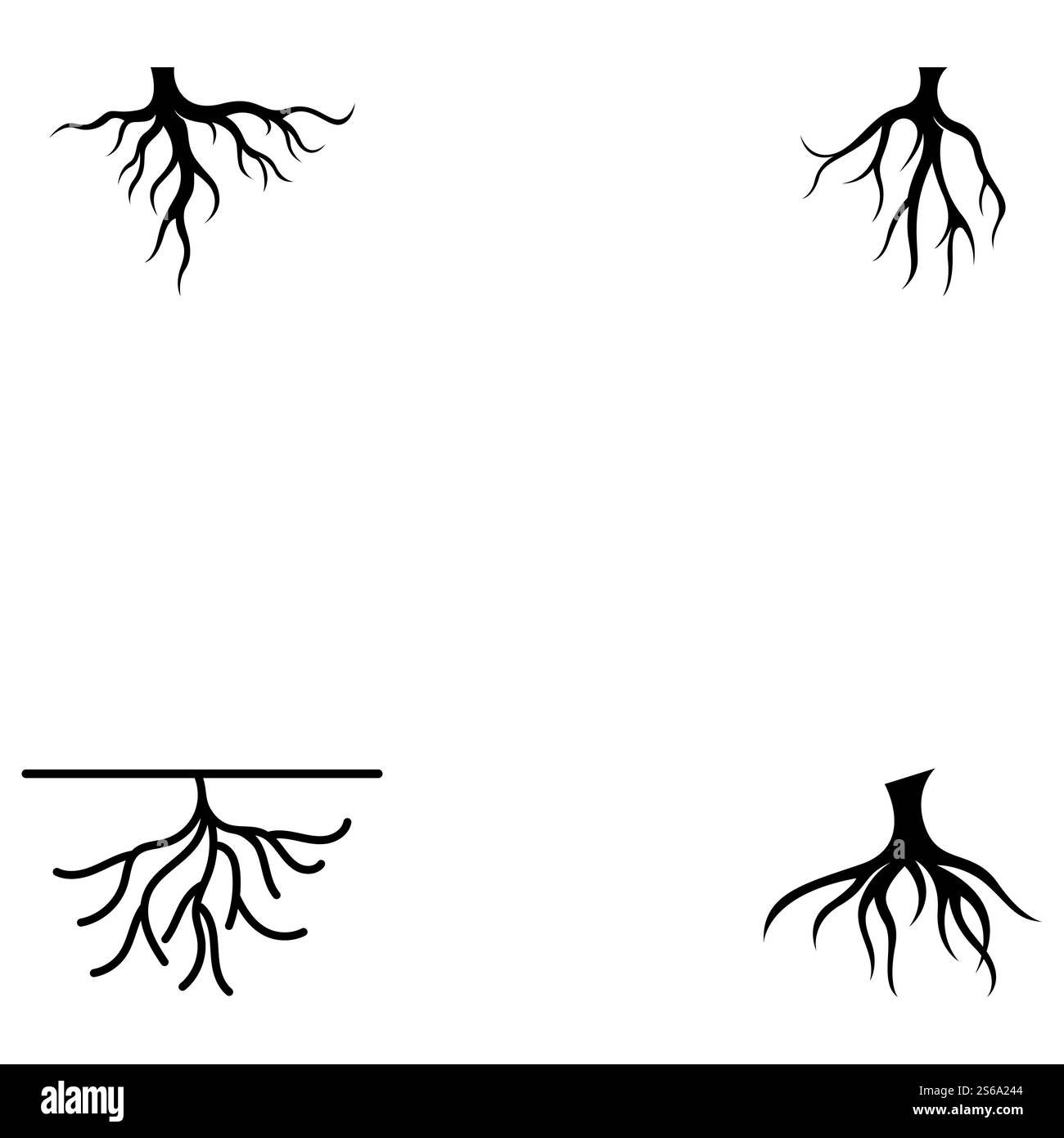 Modèle d'illustration de vecteur racine Illustration de Vecteur